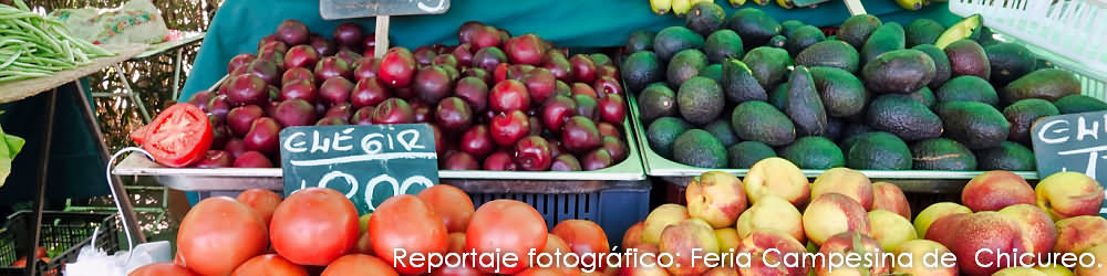 Reportaje fotogrfico: Ferias Campesinas gourmet de Chicureo.